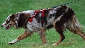 rory2.jpg
